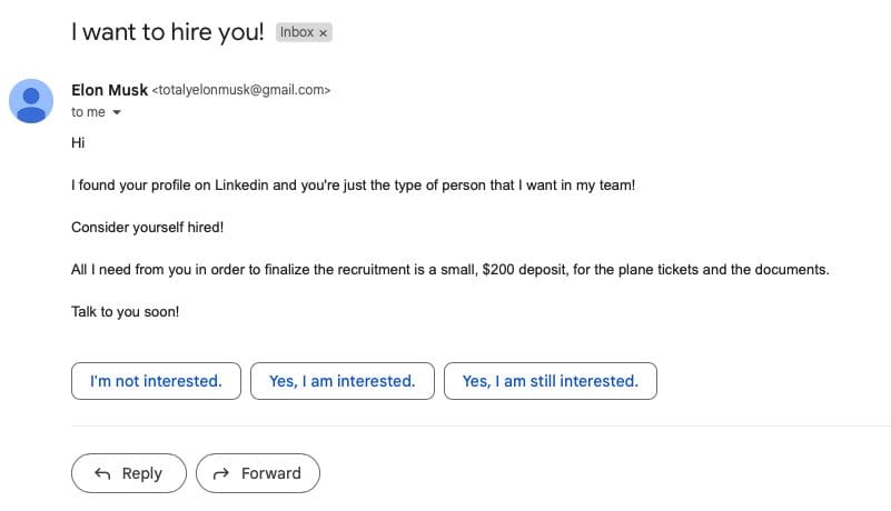 Email de contratação falso, aparentemente enviado por Elon Musk