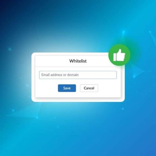 How to whitelist an email address